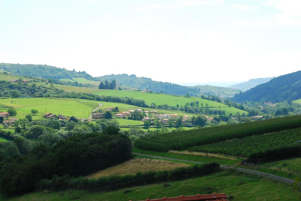 La Ferme Berger Hotel Les Ardillats Bilik gambar