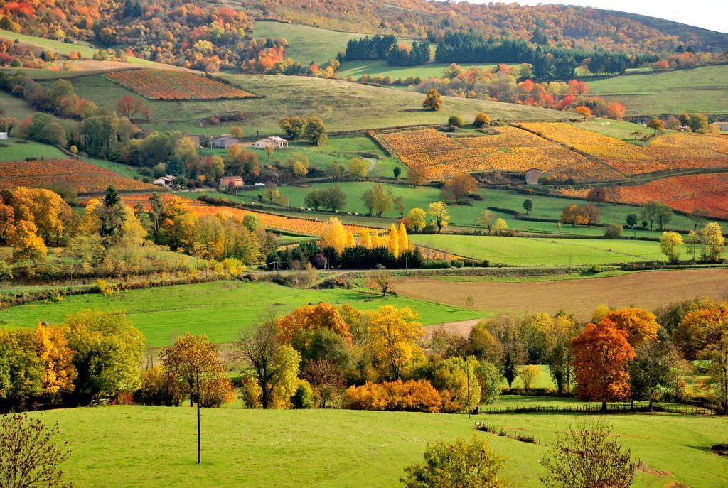 La Ferme Berger Hotel Les Ardillats Luaran gambar